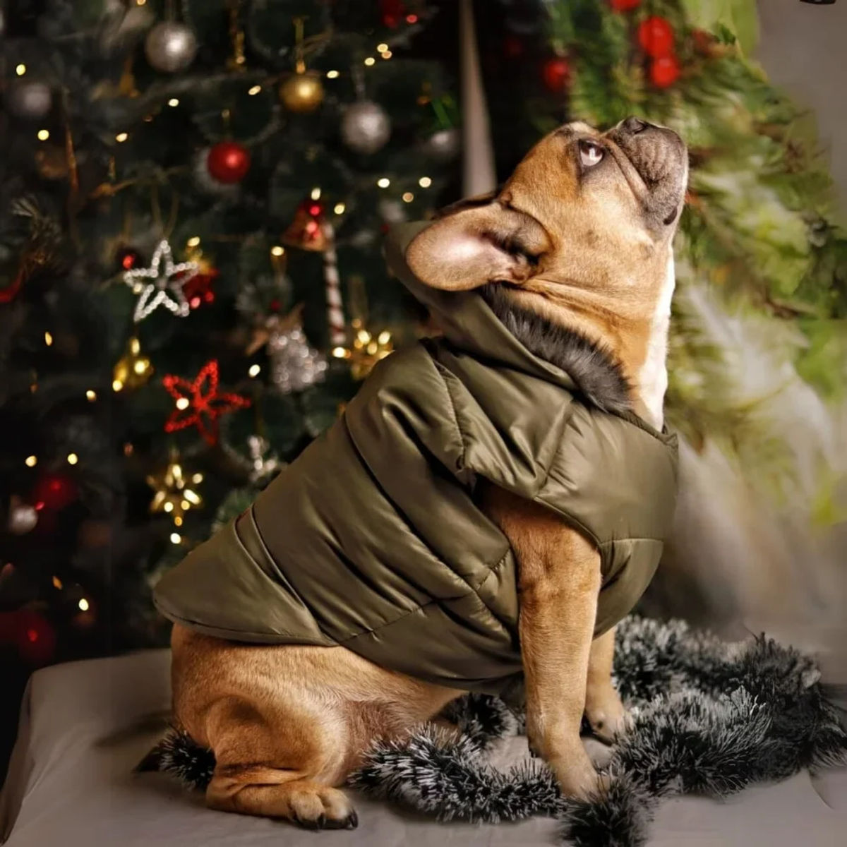 Plain Waterproof Winter Jacket for Dogs – Sea Green