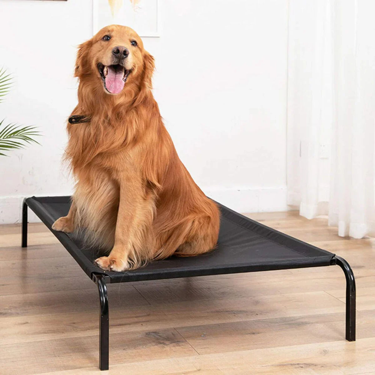Portable Elevated Dog Bed – Foldable, Waterproof Oxford Pet Cot