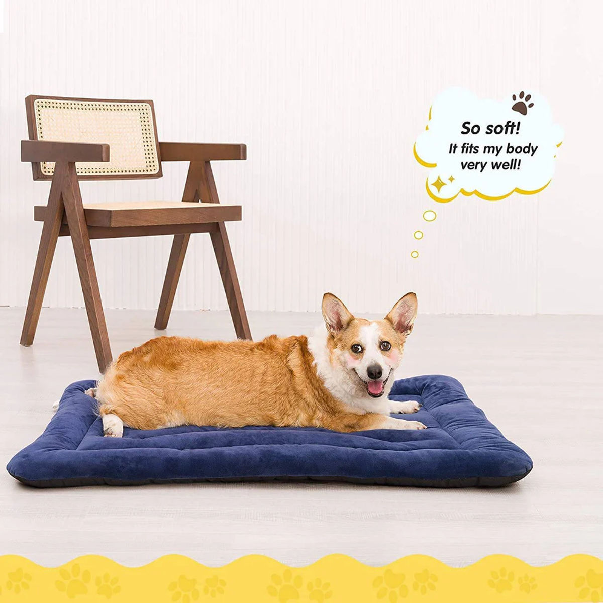 Soft Washable Pet Mat with Anti-Skid Base – Blue