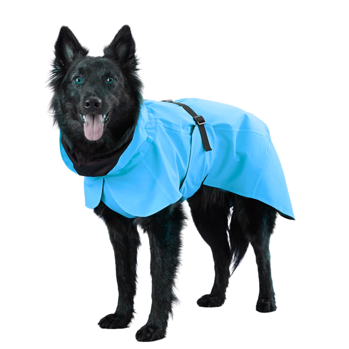 Waterproof Hooded Dog Raincoat with Reflective Strips – Blue Blaze