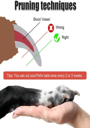 image_not_found
